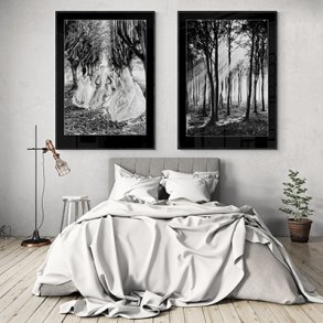 Tilbuds plakater
