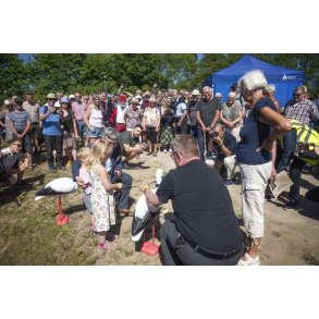 Storkeengen ved Guden�en i Randers �bnes af 2 b�rn, Peter Christensen og Torben Hansen