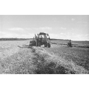 Presning af halmved Vidk�rgaard i V�rum ved Randers