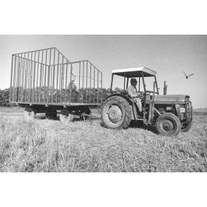 Halmvogn p� Vidk�rgaards marker i V�rum ved Randers