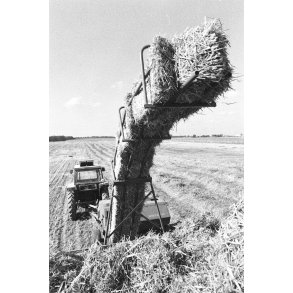 Presning af halm p� V�rum Vestergaards marker ved Randers