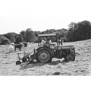 H� vending p� Vidk�rg�rd i V�rum ved Randers