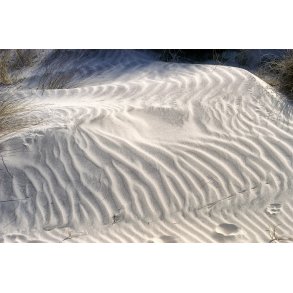 Vinden laver blger i sandet ved Vestkysten