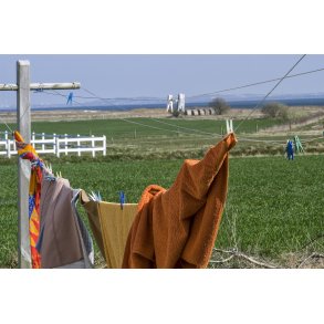 Vasketj i Gjl ved Limfjorden