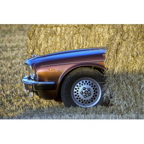 Jaguar XJ 6 Series 3 p mark i Vester Alling