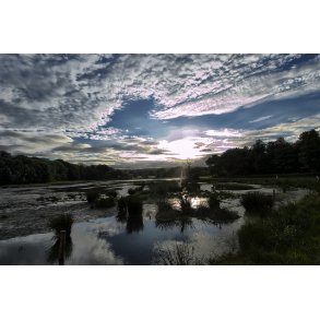 Aftenstemning ved Fussing�