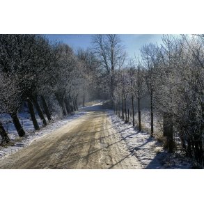 Vinter vej mellem Laurbjerg og Bidstrup Gods