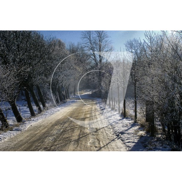 Vinter vej mellem Laurbjerg og Bidstrup Gods