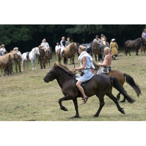 Moesgaard Vikingetr�f