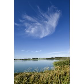 Flynders ved Hjerl Hede, er Danmarks strste hedes