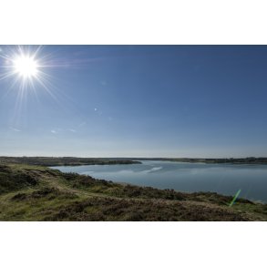 Flynders ved Hjerl Hede, er Danmarks strste hedes