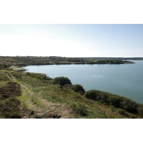 Flynders ved Hjerl Hede, er Danmarks strste hedes