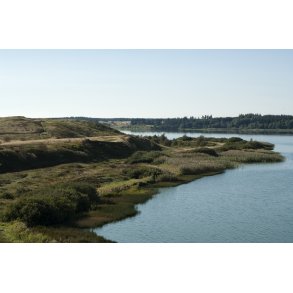 Flynders ved Hjerl Hede, er Danmarks strste hedes