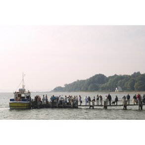 Frgen til store Okse