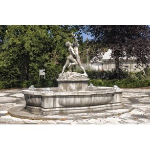 Springvandet Iguanbryderne