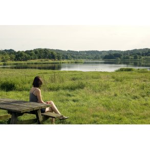 Kalv er en lille  i Genner bugt, som er forbundet med fastlandet med en dmning