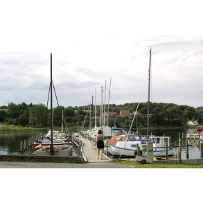 Kalv er en lille  i Genner bugt, som er forbundet med fastlandet med en dmning