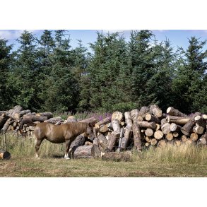 Str�ds� Plantage