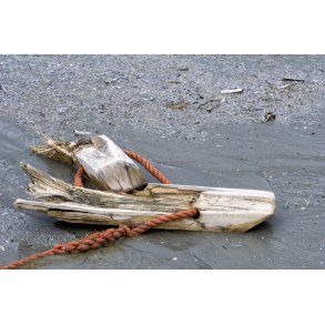 Vraggods p Fan strand