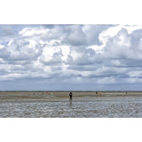 Ved lavvande er stranden bred ved Snderho p Fan. Turister og mger kmper om pladsen 