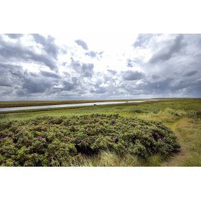 Vadehavssiden af Fan ved Snderho