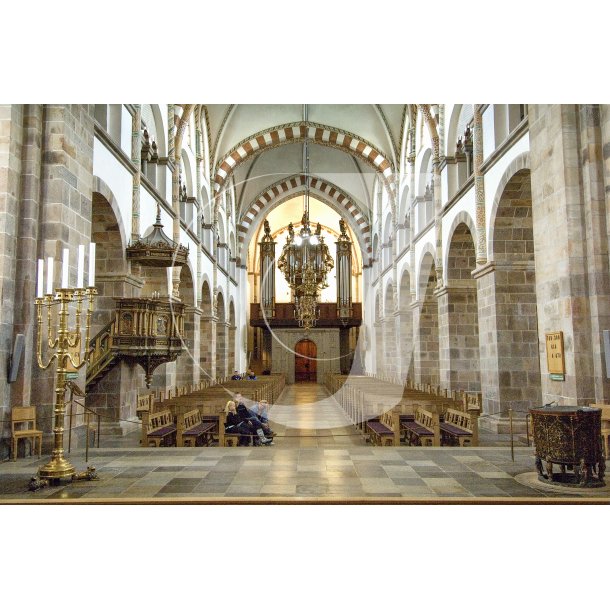 Ribe domkirke