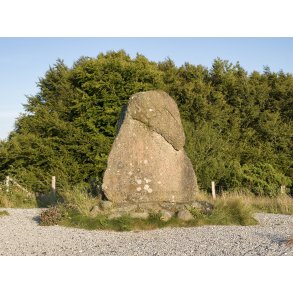 Cimbrerstenen i Rebild bakker