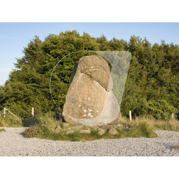 Cimbrerstenen i Rebild bakker