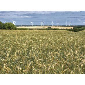 Vindm�ller ved Overgaard gods