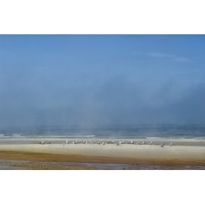 Mger og havgus ved Vestkysten