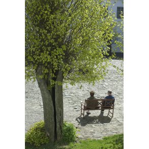 Forrsstemning ved Brglum Kloster Kirke