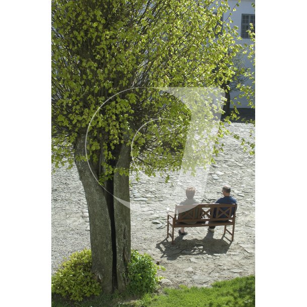 Forrsstemning ved Brglum Kloster Kirke