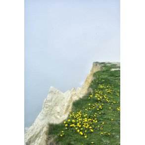 Mlkebtter p Skrnten ved Maarup Kirke