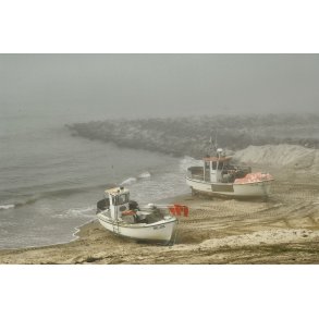 Havgus og fiskerbde p stranden ved Lnstrup