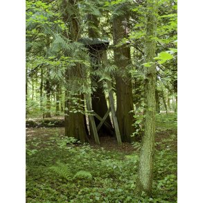 Mejlgaard skovkirkegrd