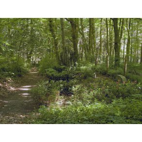 Mejlgaard skovkirkegrd