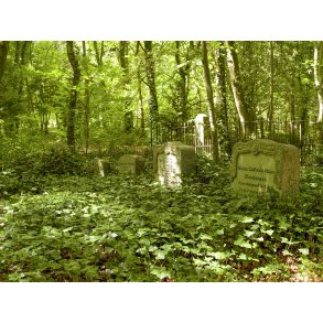 Mejlgaard skovkirkegrd