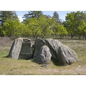 Stendysserne ved Tustrup