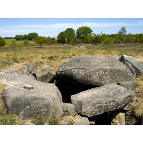 Stendysserne ved Tustrup