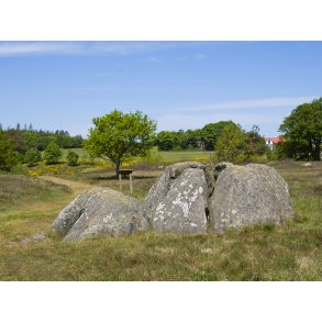 Stendysserne ved Tustrup