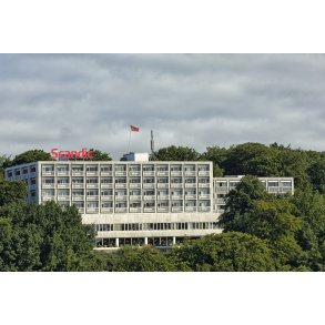 Kongens Ege p� Skovbakken