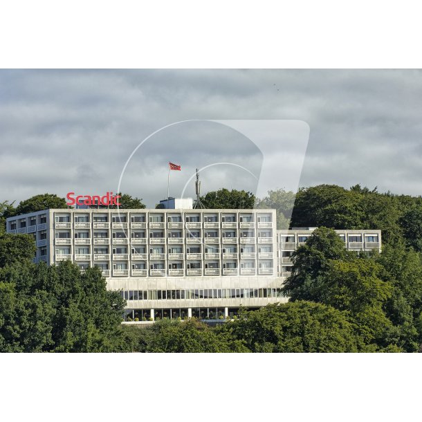 Kongens Ege p Skovbakken