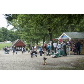 Himmelbjerget ved Gudenen og Juls