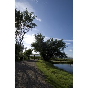 Aftenstemning ved Spttrup Borg