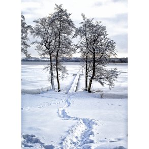 Vinter ved Fussing S�