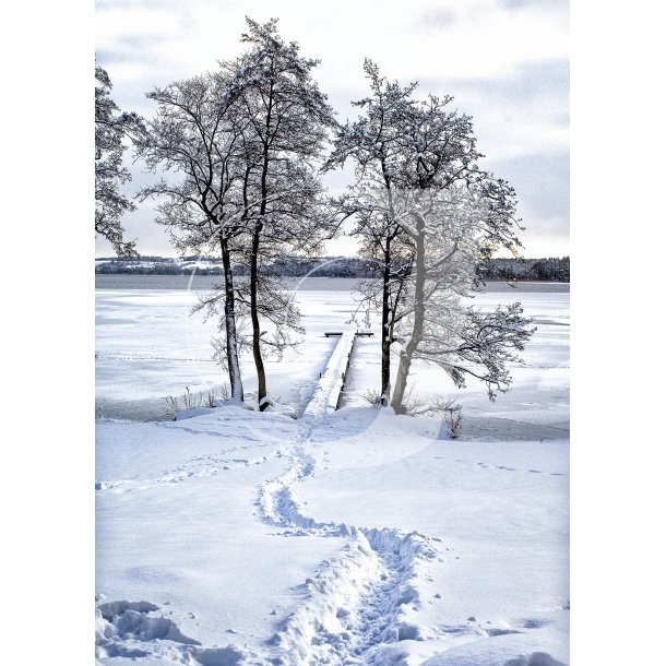 Vinter ved Fussing S�