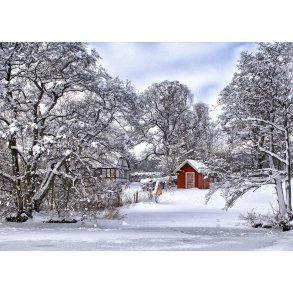 Vinterdag ved Fussing S�