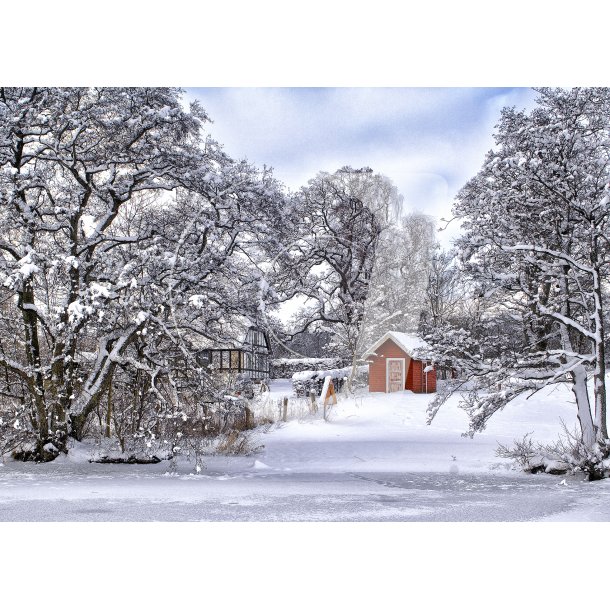 Vinterdag ved Fussing S�