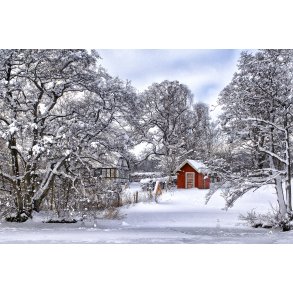 Vinterstemning ved Fussing s