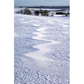 Snedriver p� marken ved Vissing t�t p� Randers